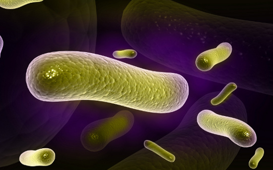 Probiotic có lợi cho hệ tiêu hóa