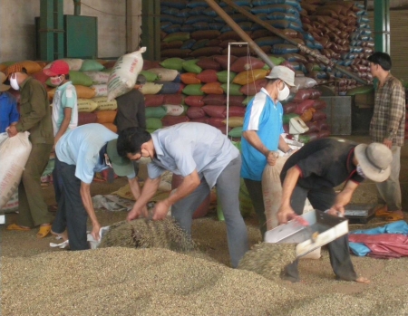 Tín dụng cho cây cà phê Tín dụng cho cây cà phê