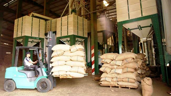 Đắc Lắc: Trên 500 tỷ đồng tiền hoàn thuế VAT bị chiếm đoạt Đắc Lắc: Trên 500 tỷ đồng tiền hoàn thuế VAT bị chiếm đoạt