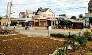 Nỗi lo cất trữ cà phê Nỗi lo cất trữ cà phê