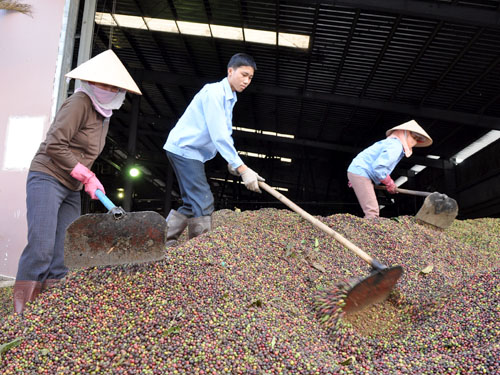 Nên thay cấm bằng thuế Nên thay cấm bằng thuế