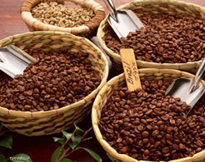 Giá cà phê vượt mốc 38.000đ/kg Giá cà phê vượt mốc 38.000đ/kg