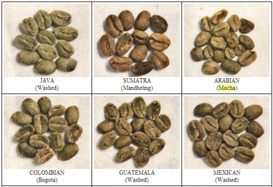 Hạt cà phê Mocha tại bản xứ Yemen, cũng tròn như con cháu của nó tại Cầu đất - Đà lạt