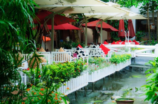 Cafe Khúc Mùa Thu – Giao Hòa Với Thiên Nhiên Cafe Khúc Mùa Thu – Giao Hòa Với Thiên Nhiên