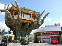 Những quán cà phê kỳ lạ trên thế giới Những quán cà phê kỳ lạ trên thế giới